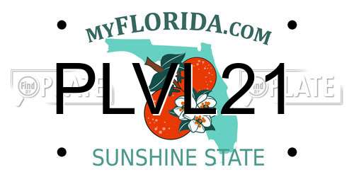 PLVL21 Florida License Plate