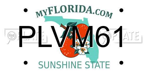 PLVM61 Florida License Plate