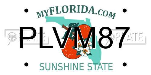 PLVM87 Florida License Plate