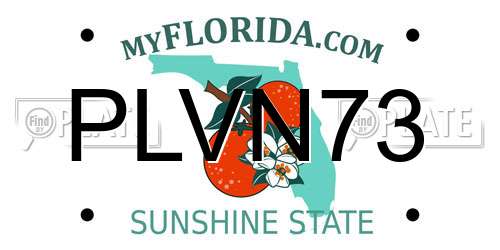 PLVN73 Florida License Plate