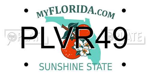 PLVR49 Florida License Plate