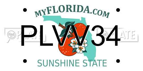PLVV34 Florida License Plate
