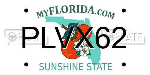 PLVX62 Florida License Plate