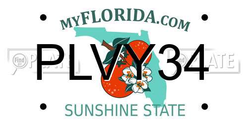 PLVY34 Florida License Plate