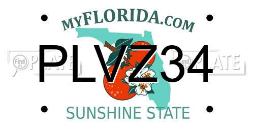 PLVZ34 Florida License Plate