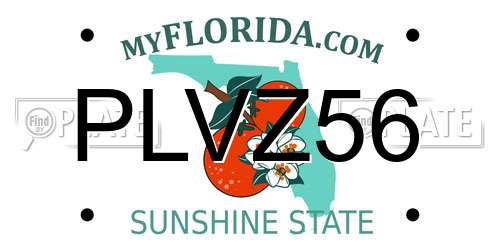 PLVZ56 Florida License Plate