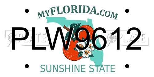 PLW9612 Florida License Plate