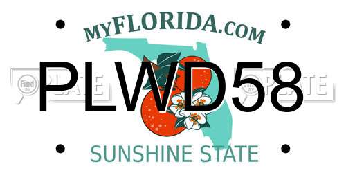 PLWD58 Florida License Plate