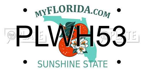 PLWH53 Florida License Plate