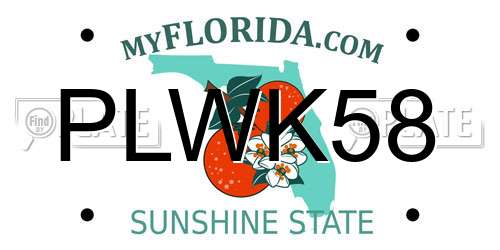 PLWK58 Florida License Plate