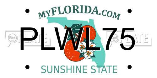 PLWL75 Florida License Plate