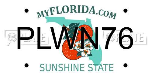 PLWN76 Florida License Plate