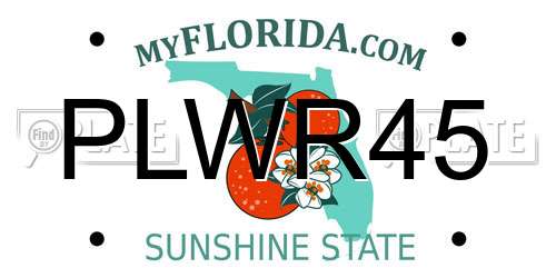 PLWR45 Florida License Plate