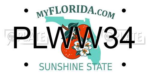 PLWW34 Florida License Plate