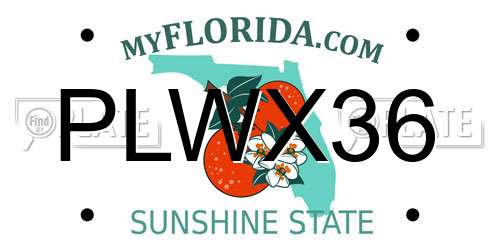 PLWX36 Florida License Plate