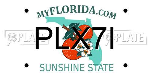 PLX7I Florida License Plate