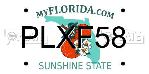 PLXF58 Florida License Plate
