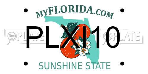 PLXI10 Florida License Plate