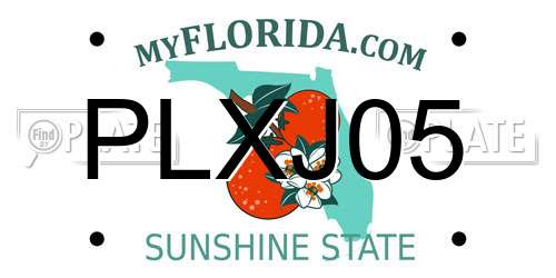 PLXJ05 Florida License Plate