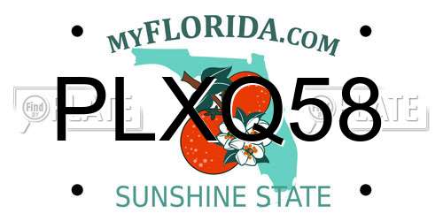 PLXQ58 Florida License Plate