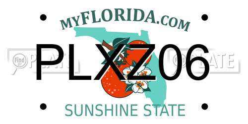 PLXZ06 Florida License Plate