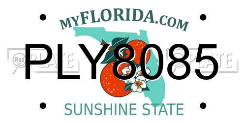 PLY8085 Florida License Plate