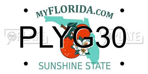 PLYG30 Florida License Plate