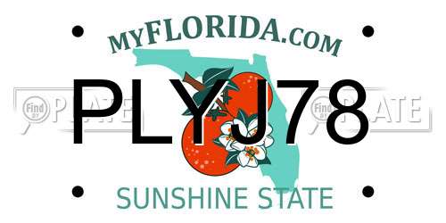PLYJ78 Florida License Plate