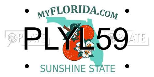 PLYL59 Florida License Plate