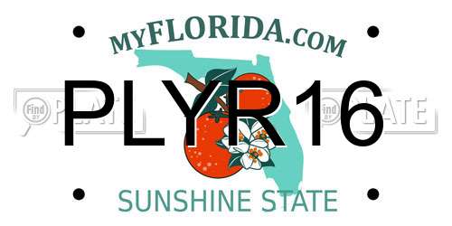PLYR16 Florida License Plate