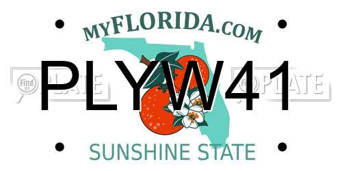 PLYW41 Florida License Plate
