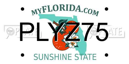 PLYZ75 Florida License Plate