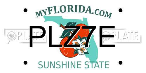 PLZ7E Florida License Plate