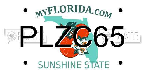PLZC65 Florida License Plate