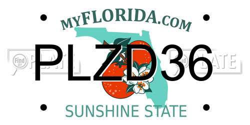PLZD36 Florida License Plate