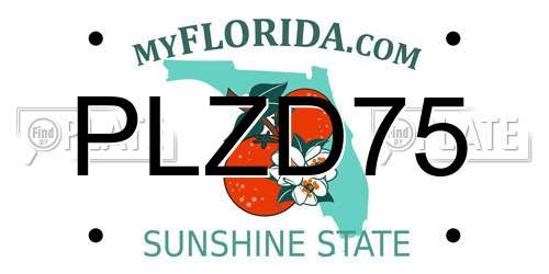 PLZD75 Florida License Plate