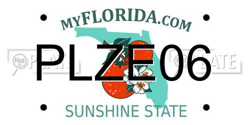 PLZE06 Florida License Plate