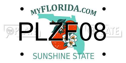 PLZF08 Florida License Plate