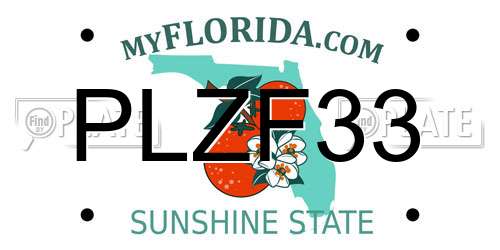 PLZF33 Florida License Plate