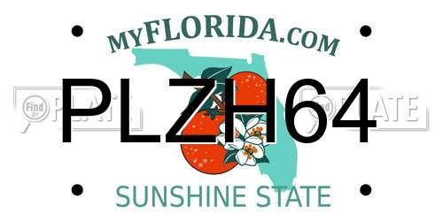 PLZH64 Florida License Plate