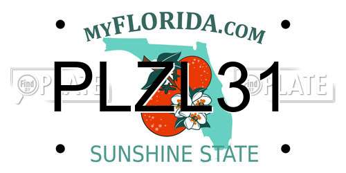 PLZL31 Florida License Plate