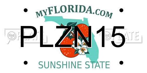 PLZN15 Florida License Plate