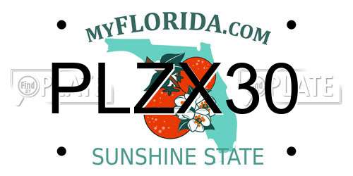 PLZX30 Florida License Plate