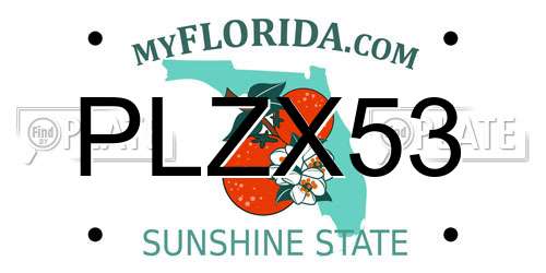 PLZX53 Florida License Plate