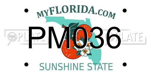 PM036 Florida License Plate