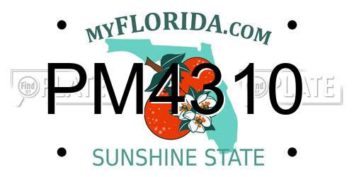 PM4310 Florida License Plate