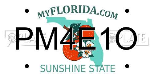 PM4E1O Florida License Plate