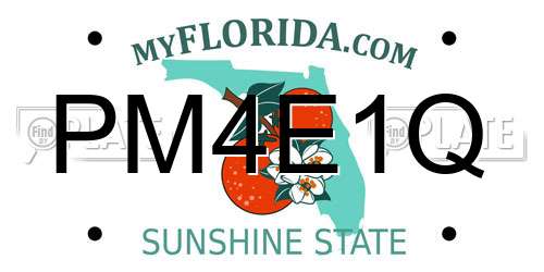 PM4E1Q Florida License Plate