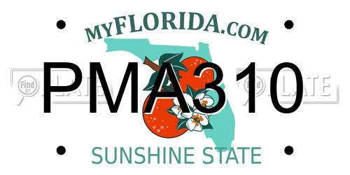 PMA310 Florida License Plate