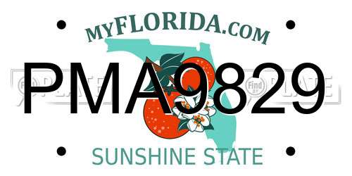 PMA9829 Florida License Plate
